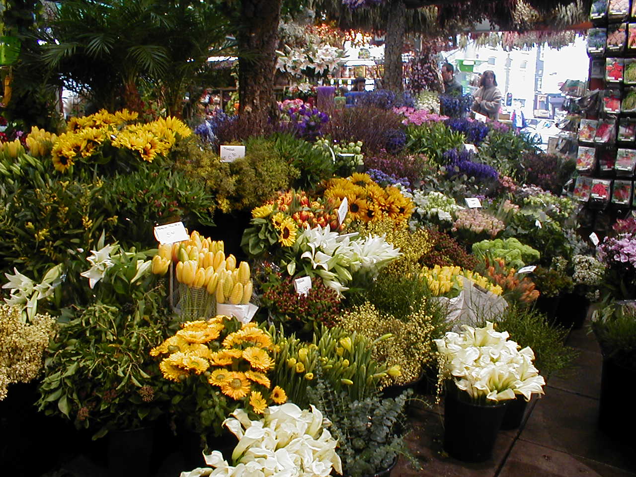 a.flowers.jpg